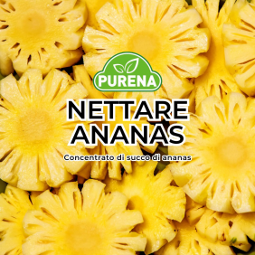 Purena Nettare Ananas | 2,5 kg